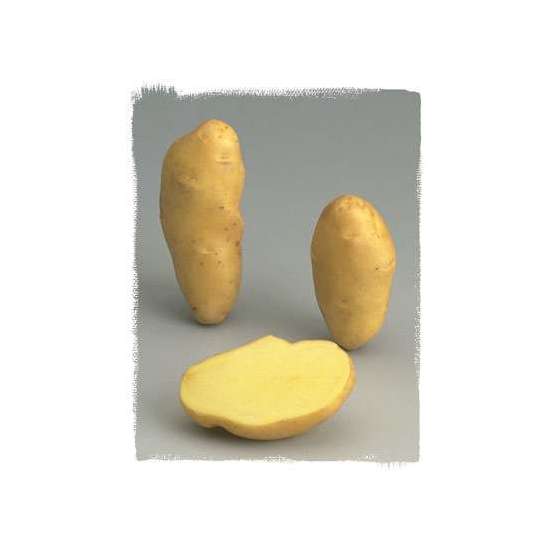 Pomme de terre Amandine 32/40 - Sac de 3 kg