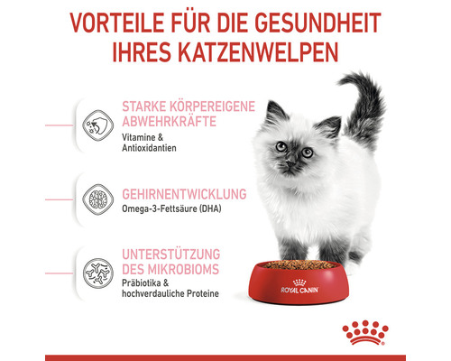 ROYAL CANIN Kitten droog kattenvoer 10 kg