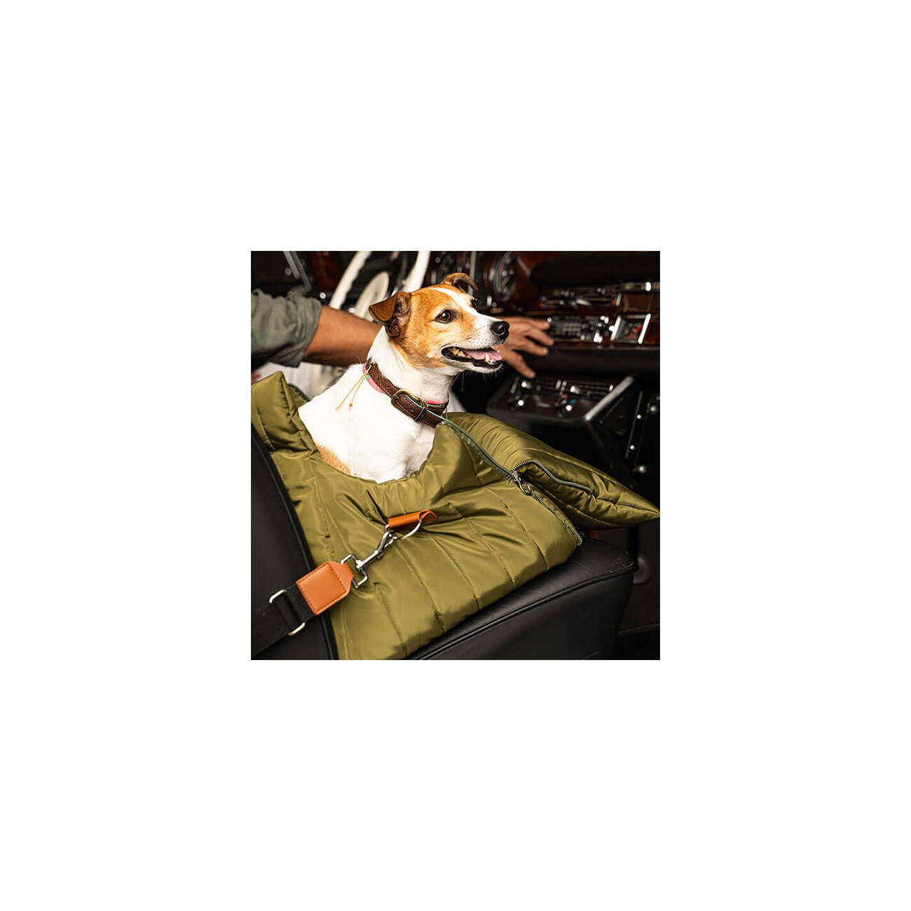 Flying Dog 3 in 1 Hundetragetasche 