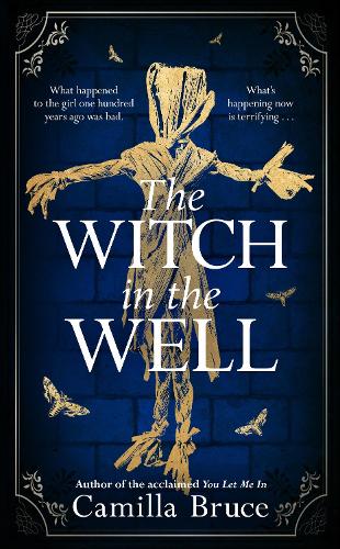 The Witch in the Well (Hardback)