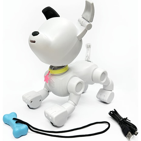 Mintid Dog-E robothundehvalp
