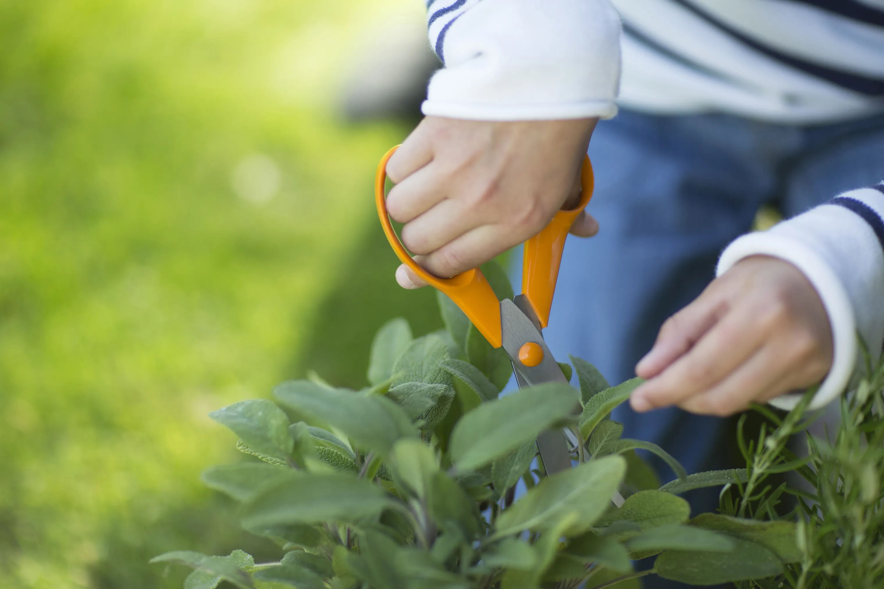 Fiskars Classic Saks