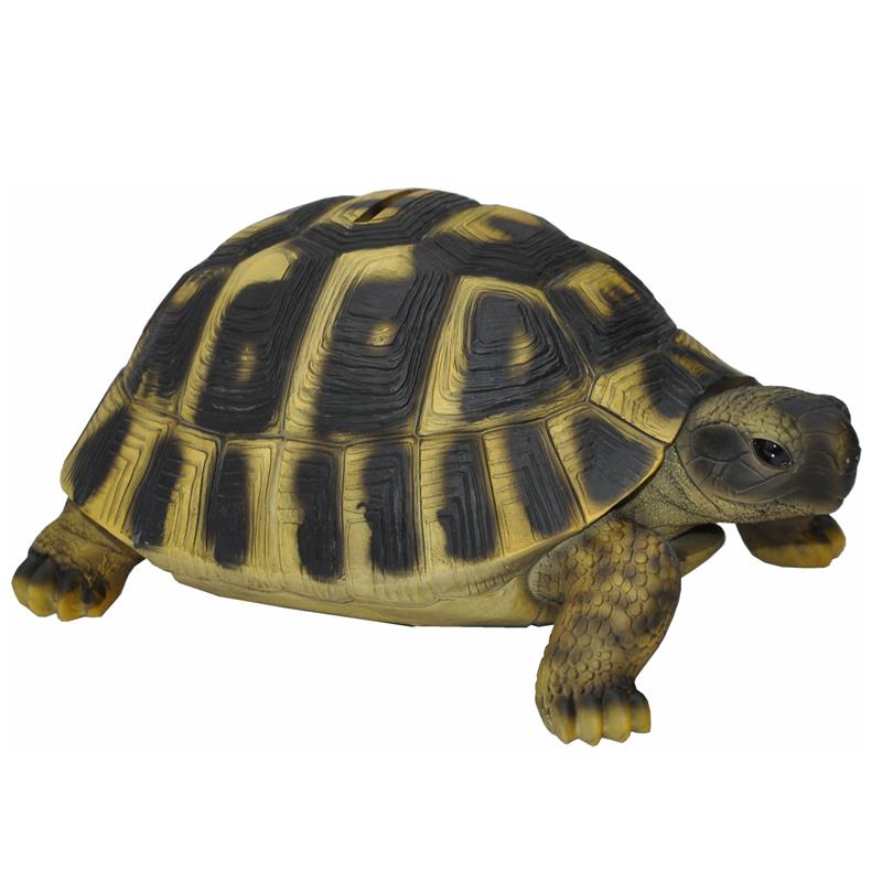 Dazikemo Spardose Sparschwein große Schildkröte