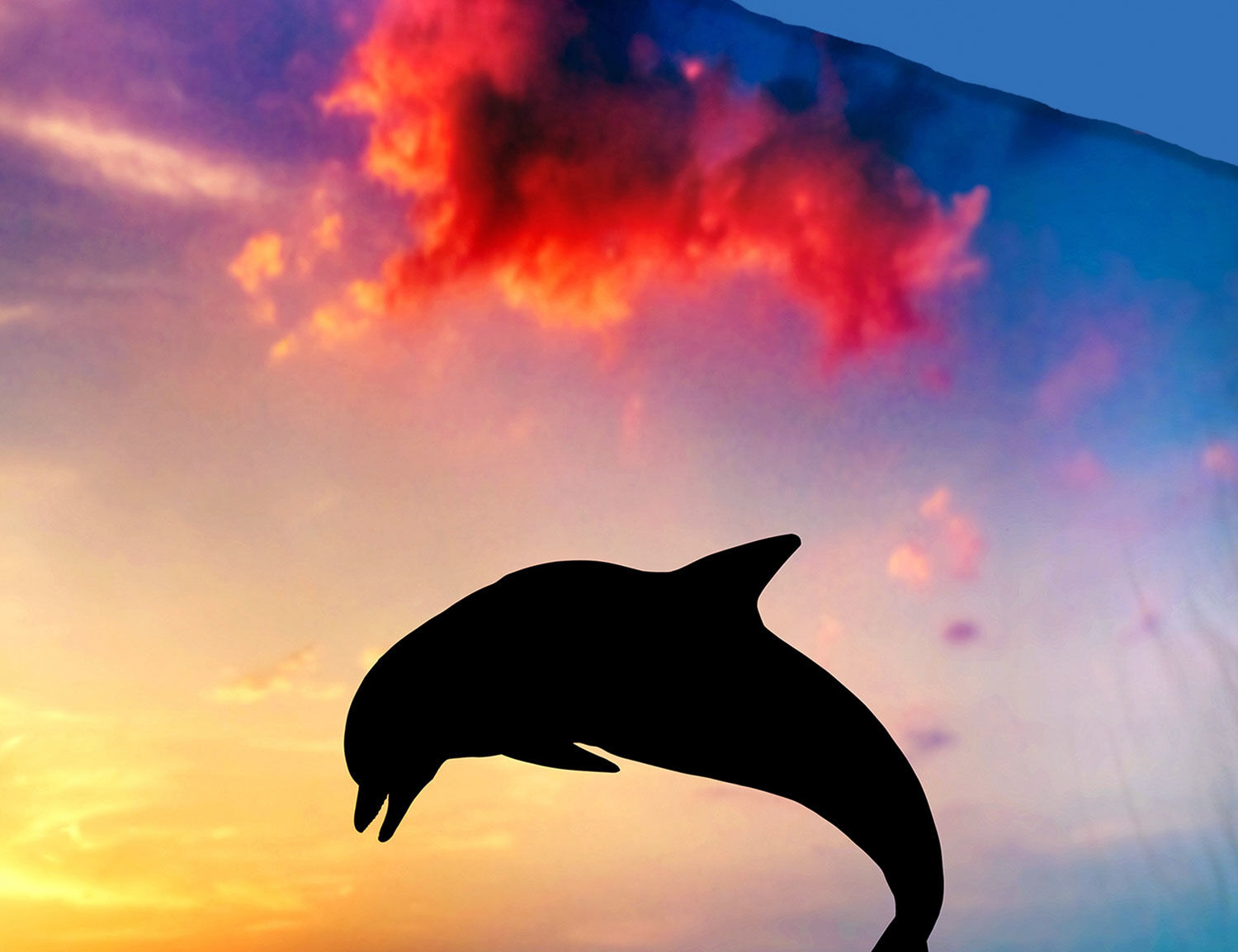 Bettwäsche mit springendem Delfin und Sonnenuntergang