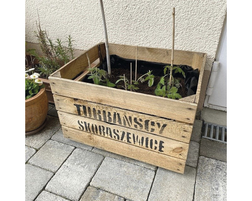 Houten doos Turbansky 50x40x30 cm