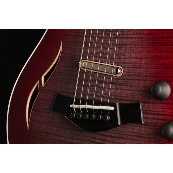 Taylor T5z Pro GV