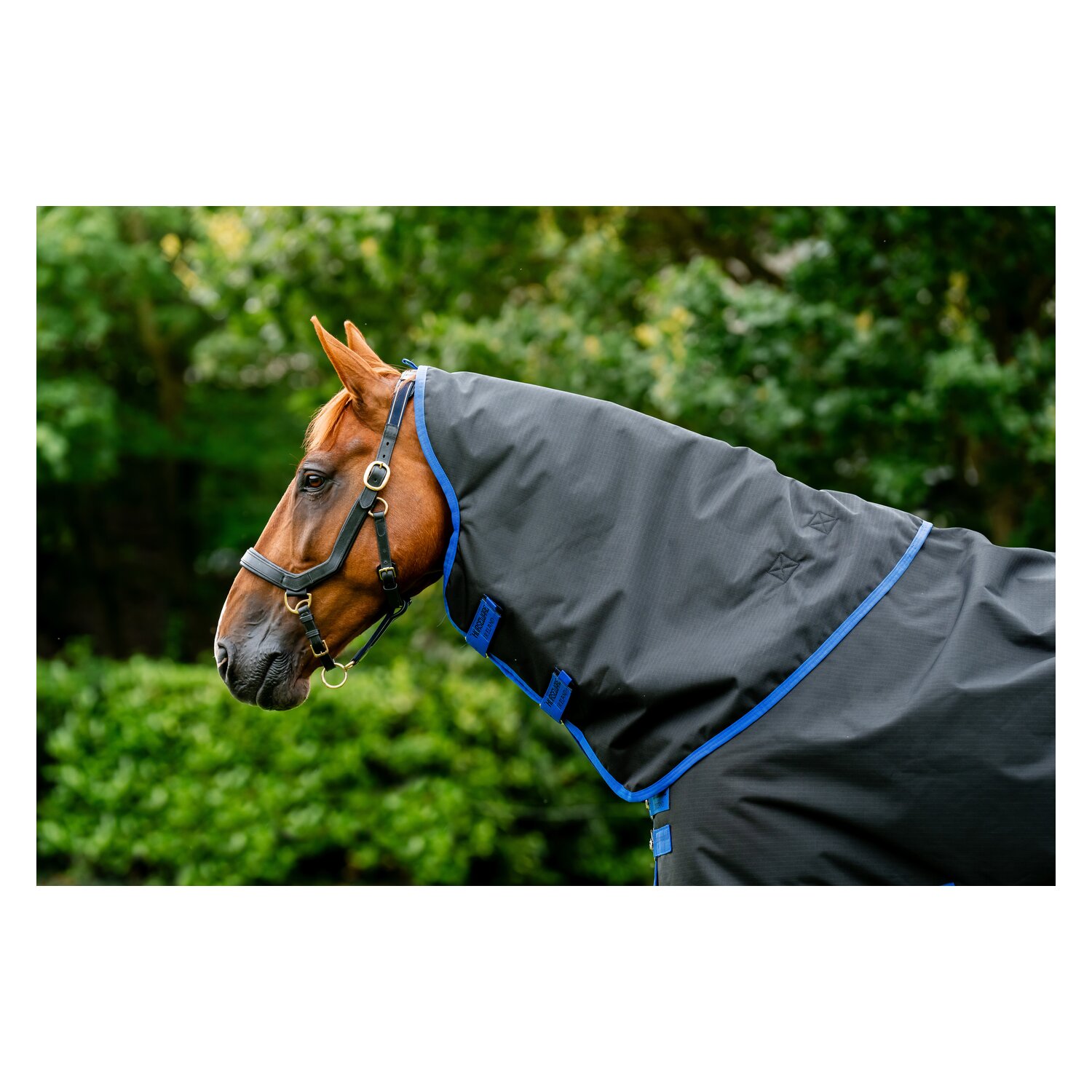 HORSEWARE Halsteil AMIGO Ripstop 900  - black/classic blue