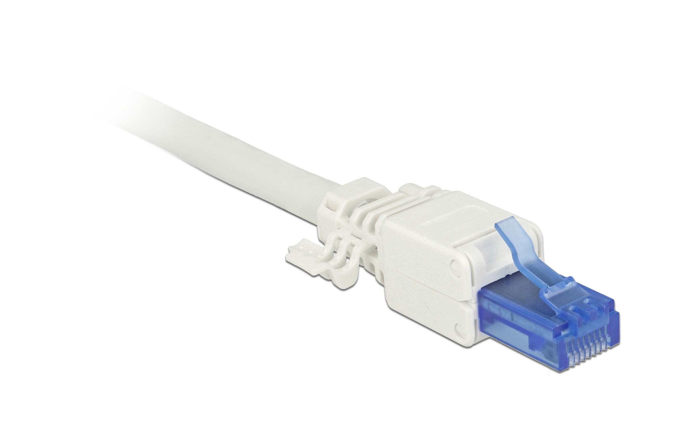 Stecker RJ45 Cat.6A UTP werkzeugfrei, 2 StückDelock RJ45 Stecker Cat.6A UTP werkzeugfrei 2 Stück