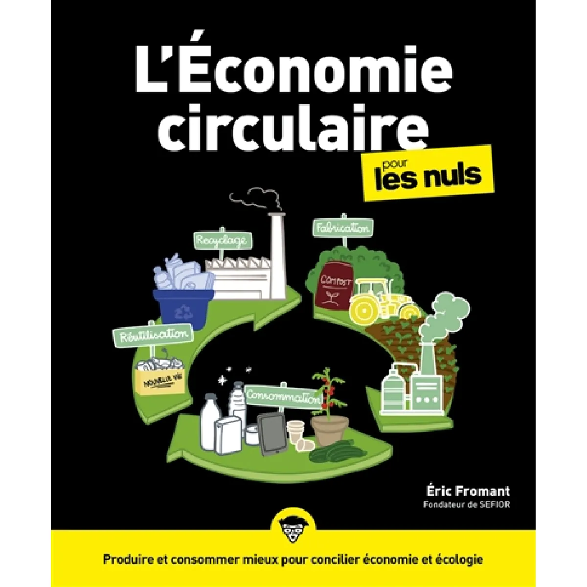 L'économie circulaire pour les nuls · Occasion