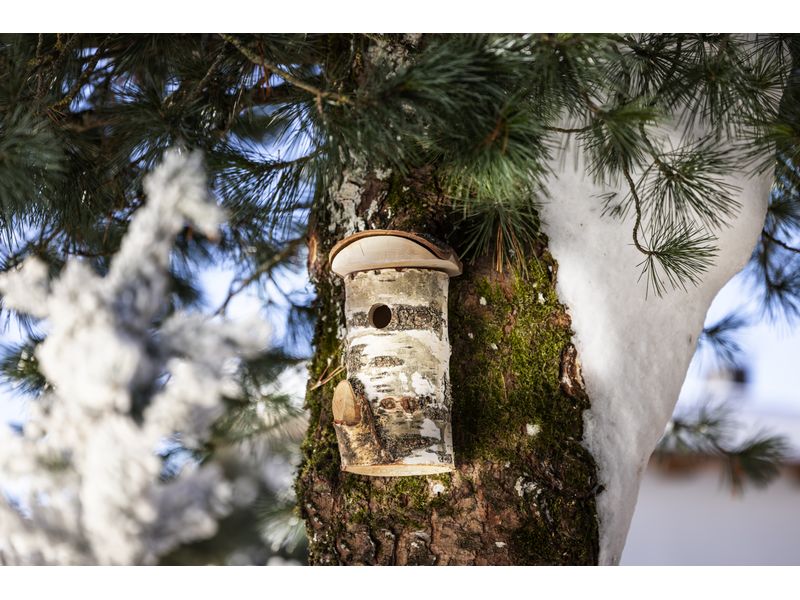 Windhager Nistkasten Wildkogel 17 x 14 x 26 cm, natur, FSC Nisthilfe