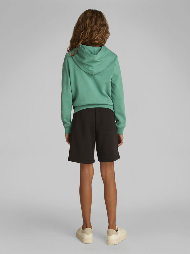 Calvin Klein INST. LOGO REG. TERRY HOODIE Bahama green