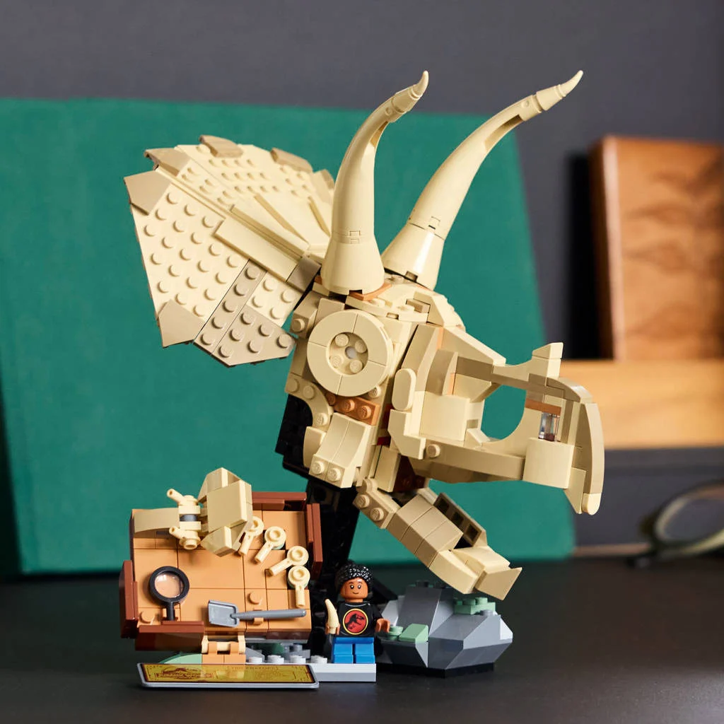 GeweldigDinosaurusfossielen: Triceratops schedel 76969