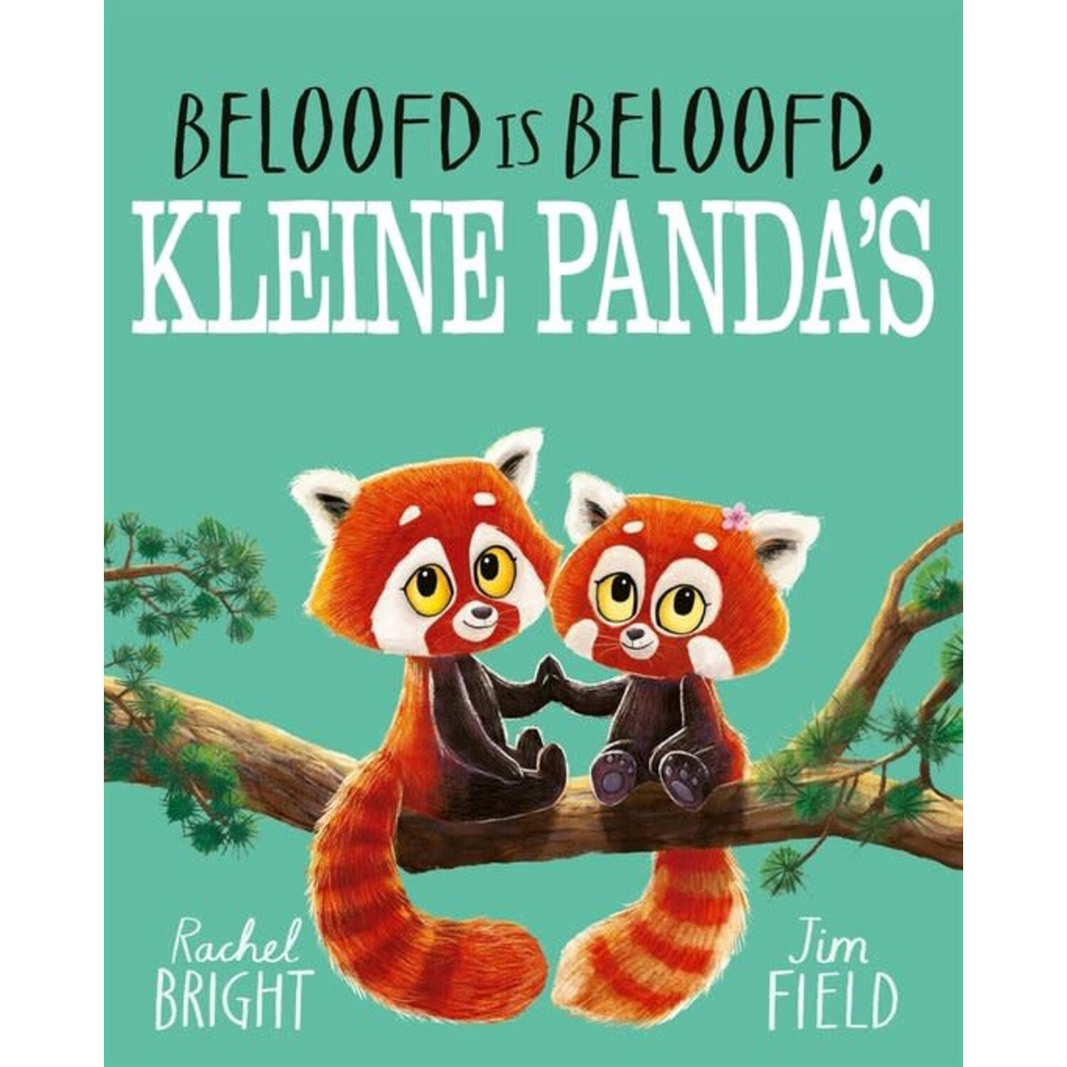 Boek | Beloofd is beloofd kleine panda's