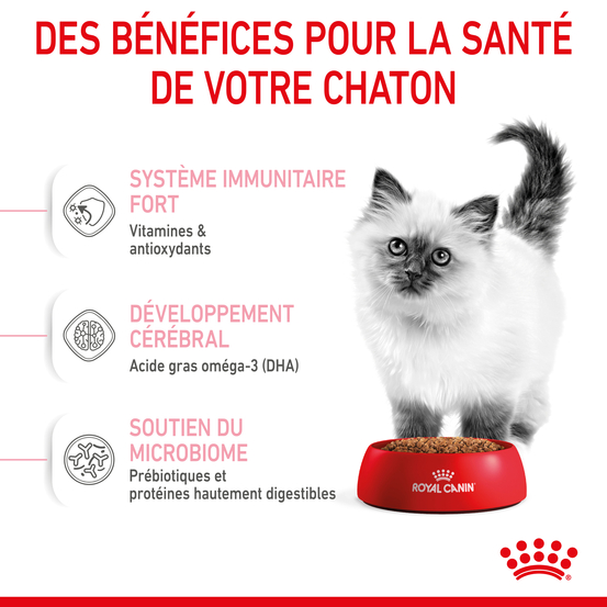 Croquettes Kitten Second Age pour chaton de 4 à 12 mois 2kg