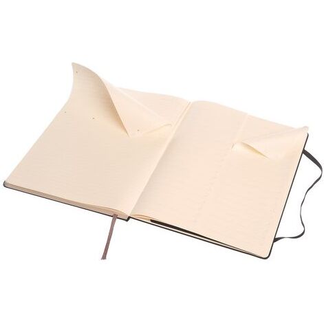 Carnet professionnel Moleskine rigide 19 x 25 cm ivoire ligné 192 pages