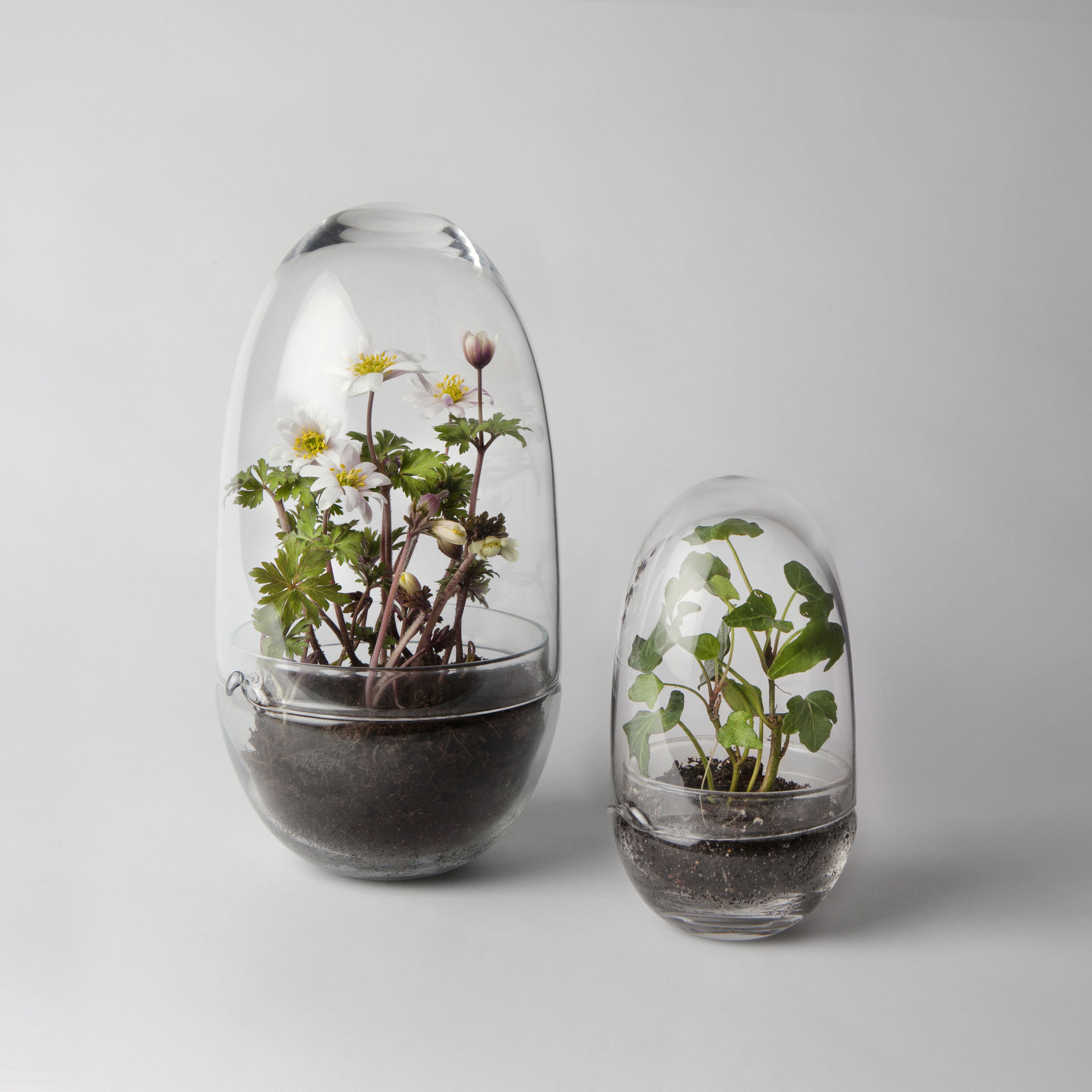 Design House Stockholm Grow Kweekkas