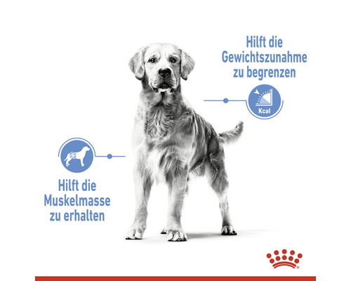 ROYAL CANIN Medium Light Weight Care droog hondenvoer 3 kg