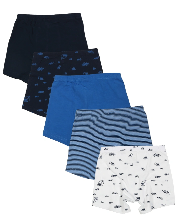 Boxershorts CLASSICS – BAGGER 5er Pack in blau/weiß