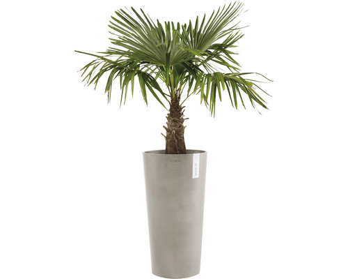 Ecopots Amsterdam plantenbak, kunststof, Ø 34 cm, H 66 cm, bruingrijs