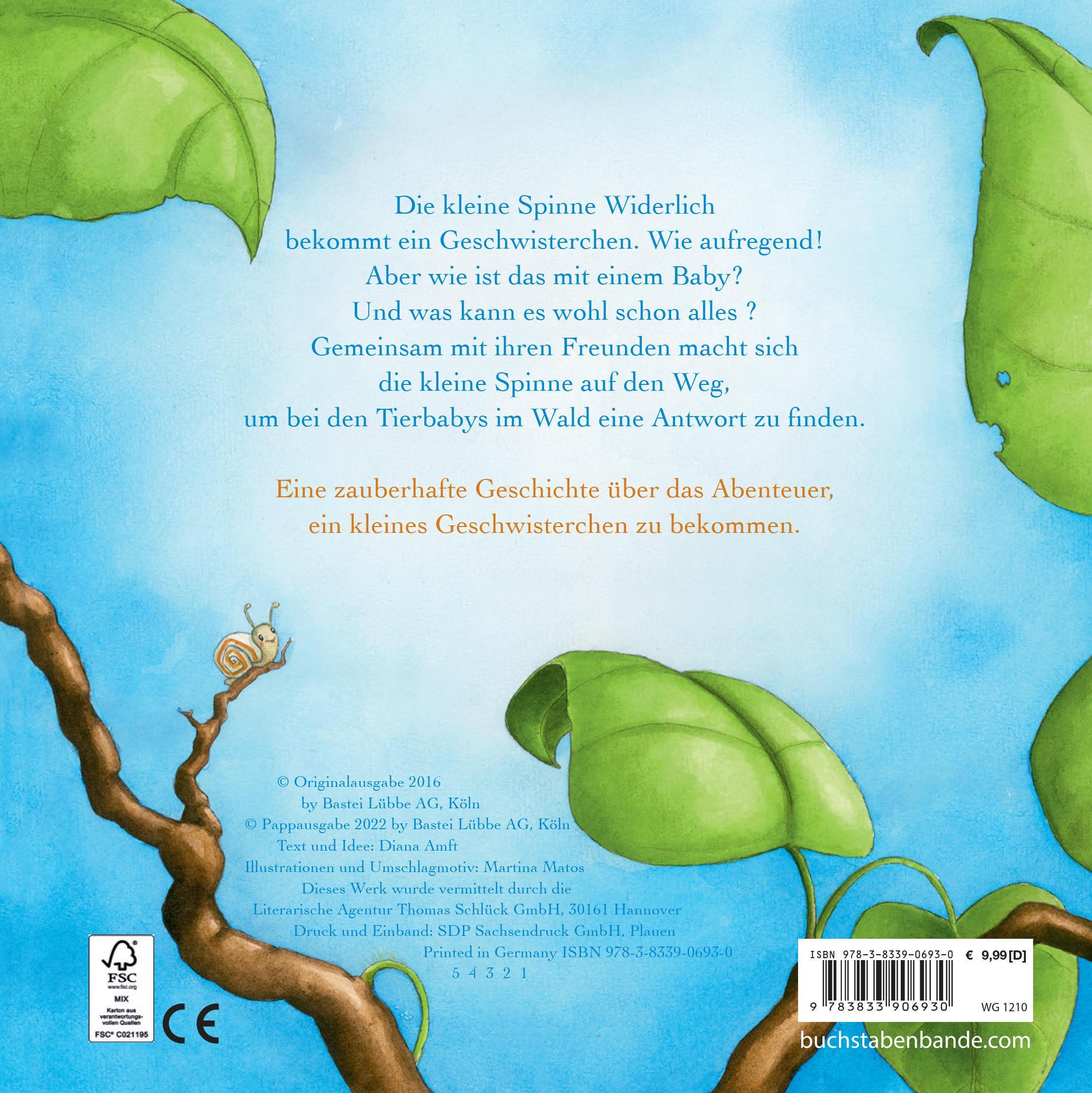 Die kleine Spinne Widerlich - Das Geschwisterchen Pappbilderbuch