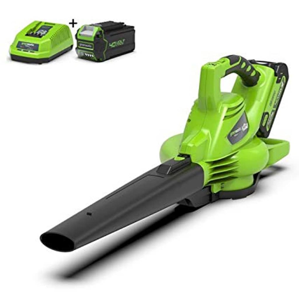 Aspirateur de pelouse à main 40 v vert