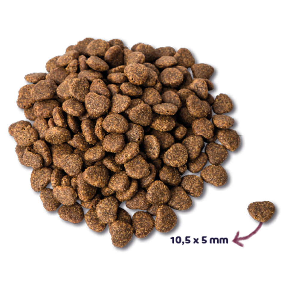 Renske Super Premium Kat Adult Eend6 kg