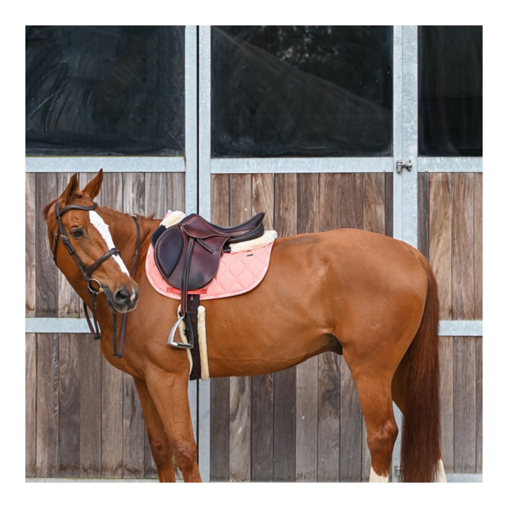 Gem LOVE GEM - Tapis de selle corail