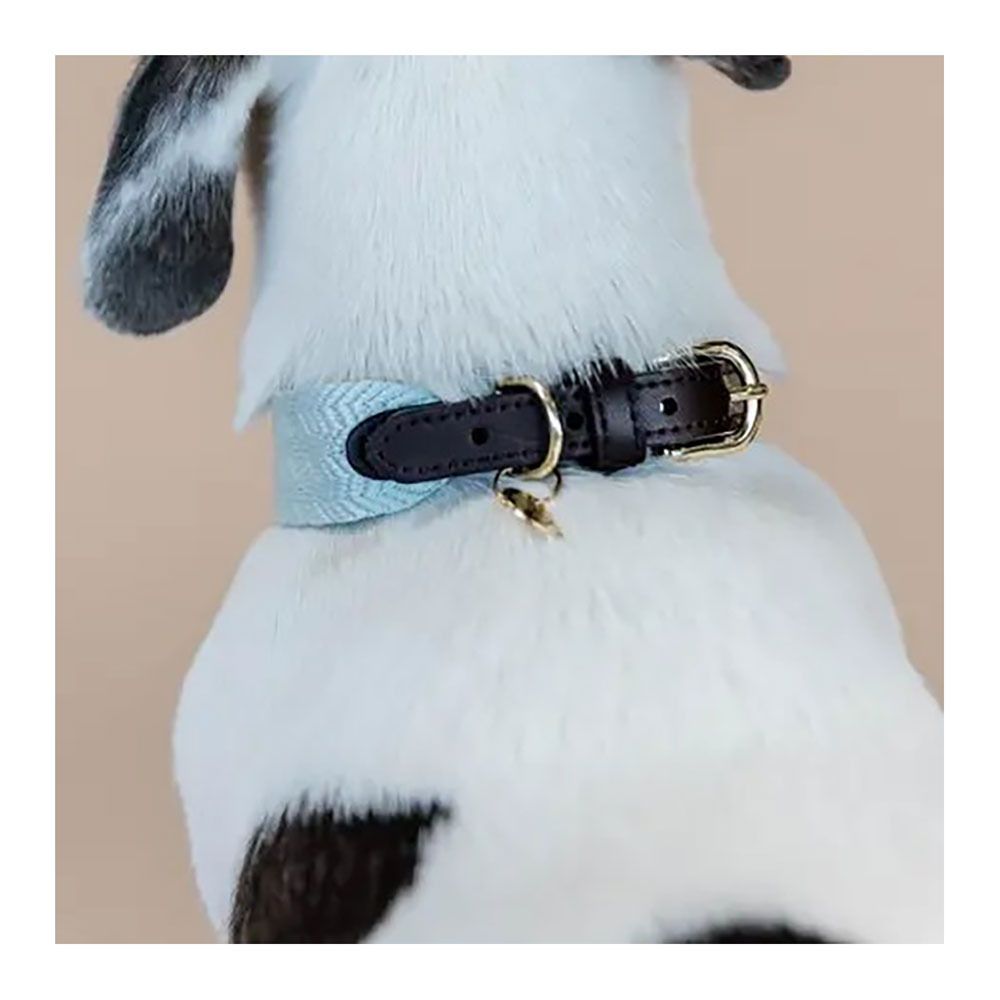 Kentucky JACQUARD-  Collier pour chien bleu clair