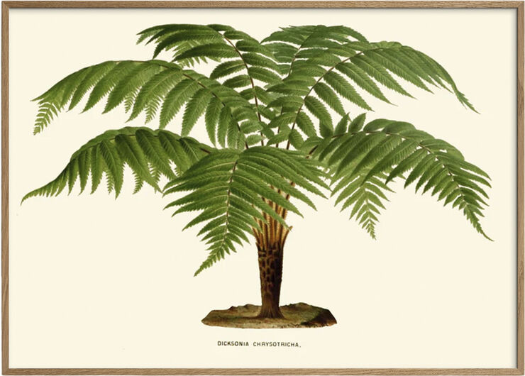 Poster & Frame Artimuus - Artimuus 102 Flerfarvet