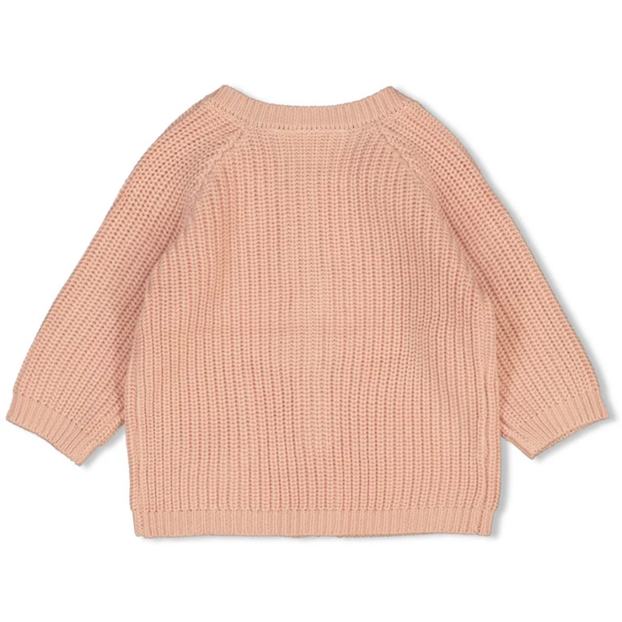 Feetje Strickjacke The Magic is in You Roze