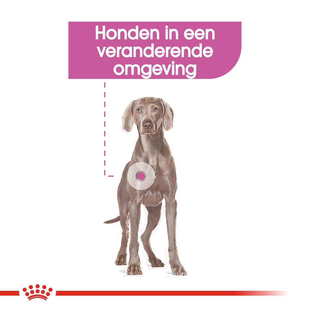 Royal Canin Relax Care Maxi - Hondenvoer - 9 Kilogram - gevogelte