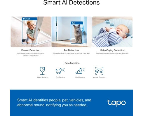 TP-Link Tapo C230