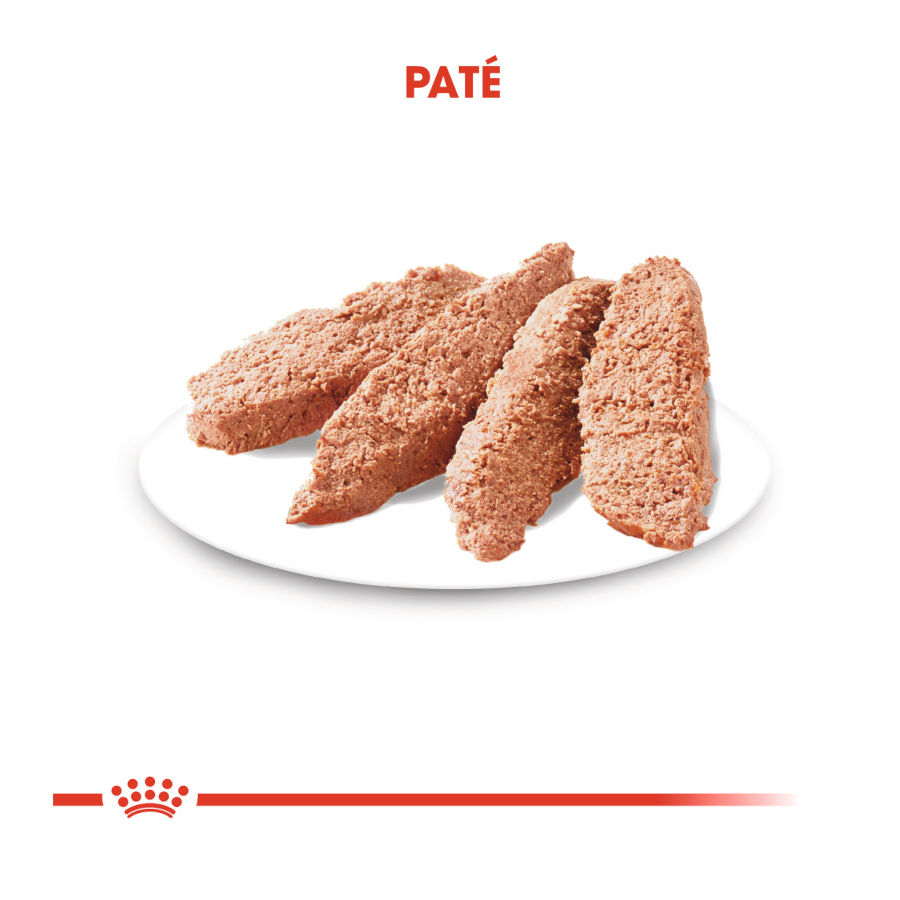 Sachês de patê Royal Canin Digestive Care para cães