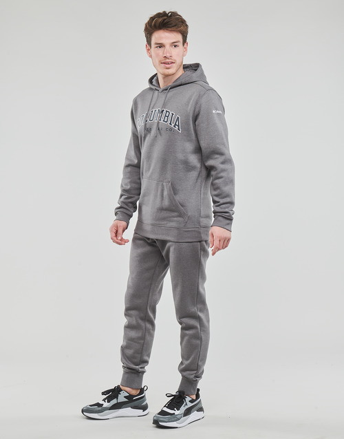 Columbia - CSC BASIC LOGO II HOODIE - Gris