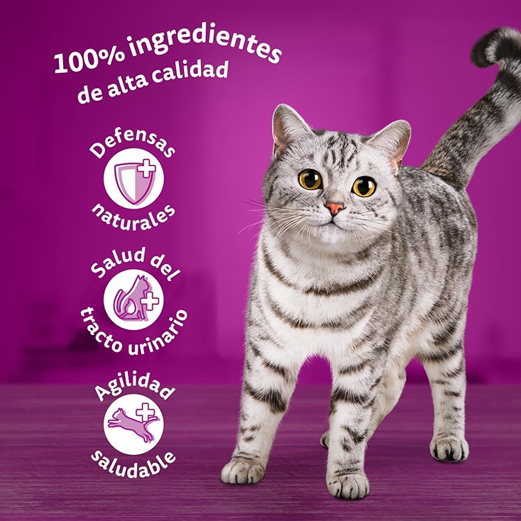 Whiskas Selection Birds Jelly em sachê para gatos idosos
