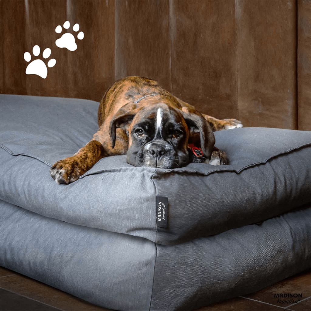 Cama para cachorro