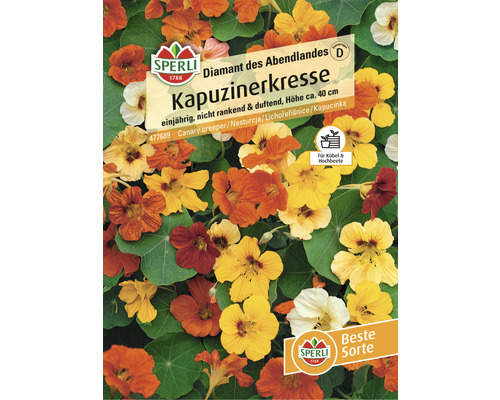 Oost-Indische kers 'Diamond of the West' Sperli bloemzaden