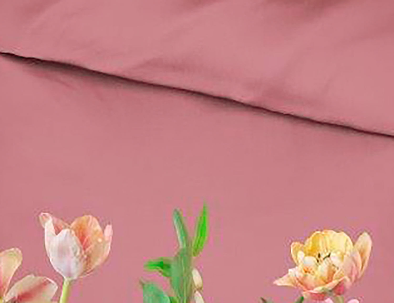 ESSENZA Bettwäsche Eloise mit Blumen