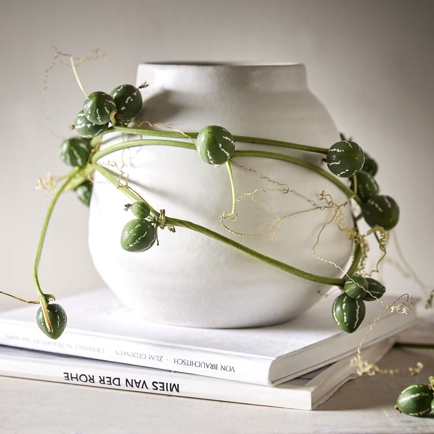 FINJA Blumentopf Vase