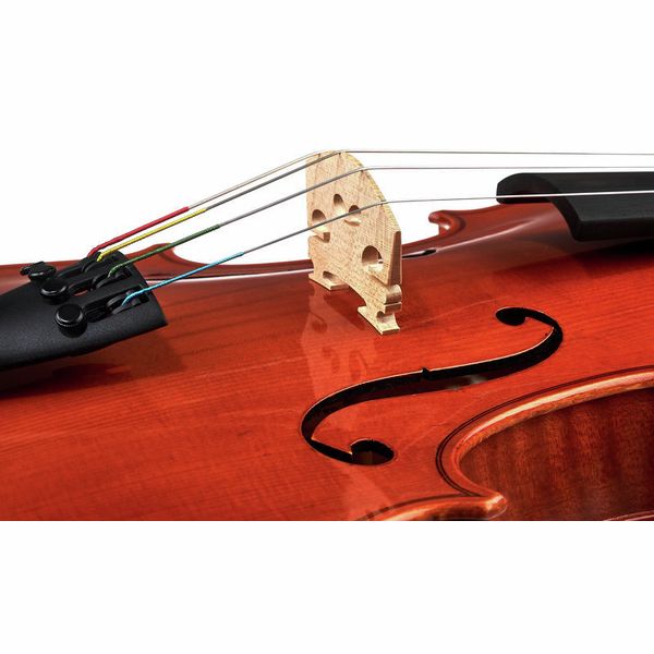 Karl Höfner Concert Viola Set 15