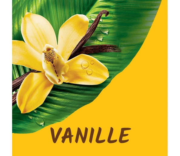 Tahiti Vanille Duschgel Für ein sanftes und duftendes Hautgefühl
