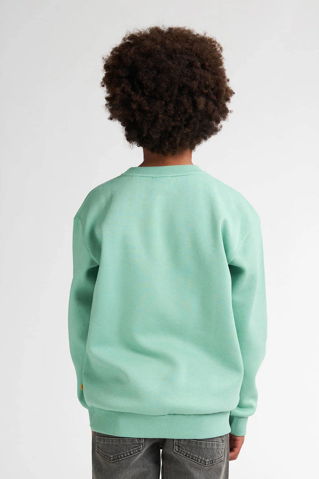 Petrol Industries sweater mintgroen