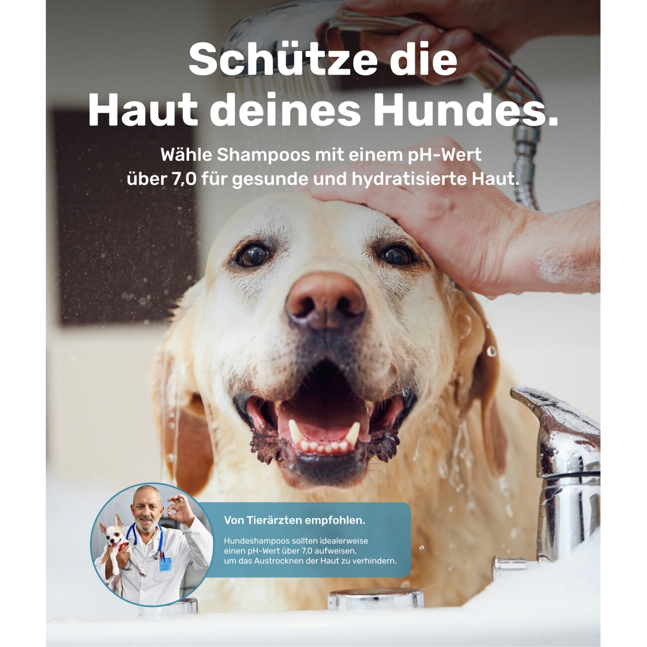 PetTec Hundeshampoo Aloe Vera 500ml