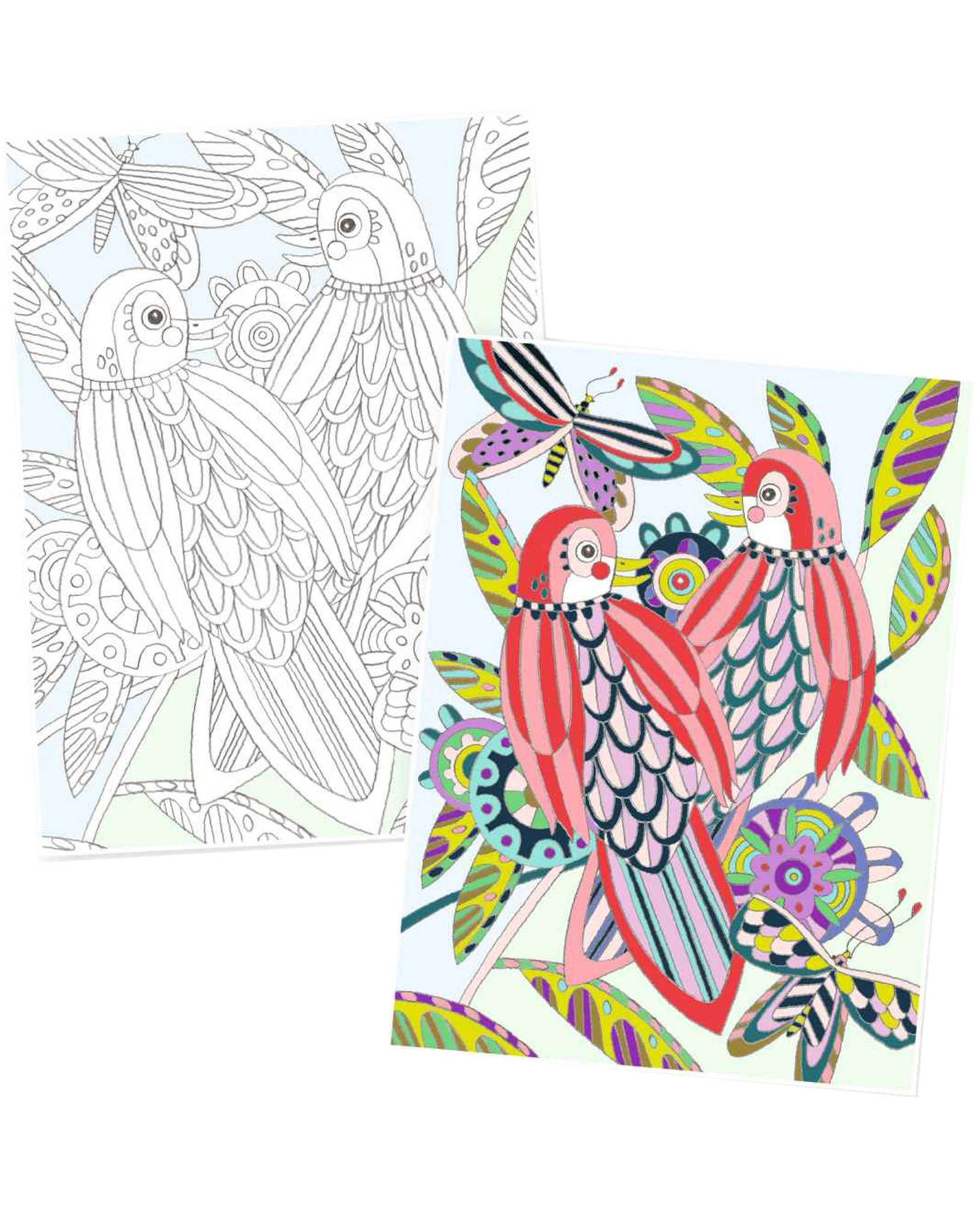 Ausmalposter XL VÖGEL (38x28cm)