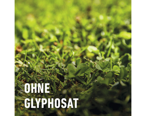 FLORANID® COMPO gazonmeststof tegen onkruid en mos, complete verzorging, 9 kg 300 m², langdurige werking 3 maanden