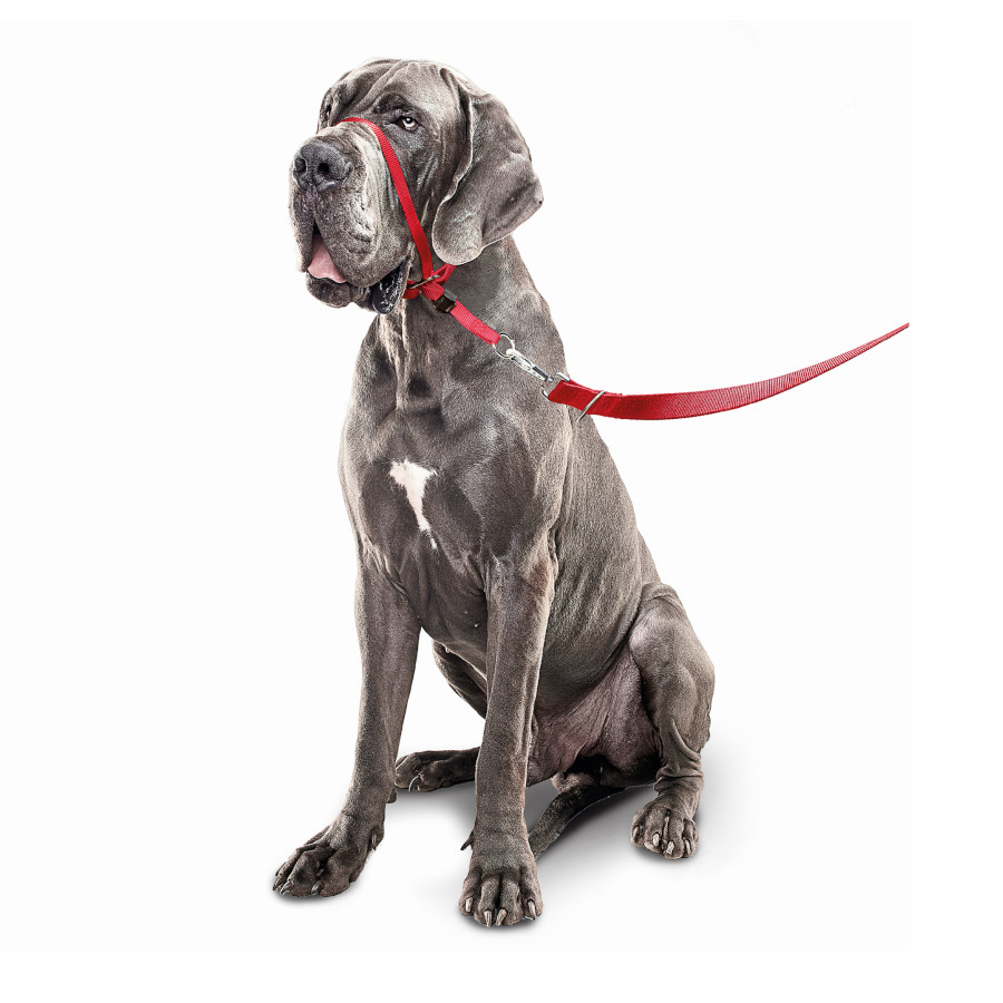 Coleira de treinamento Beaphar Gentle Leader vermelha para cães