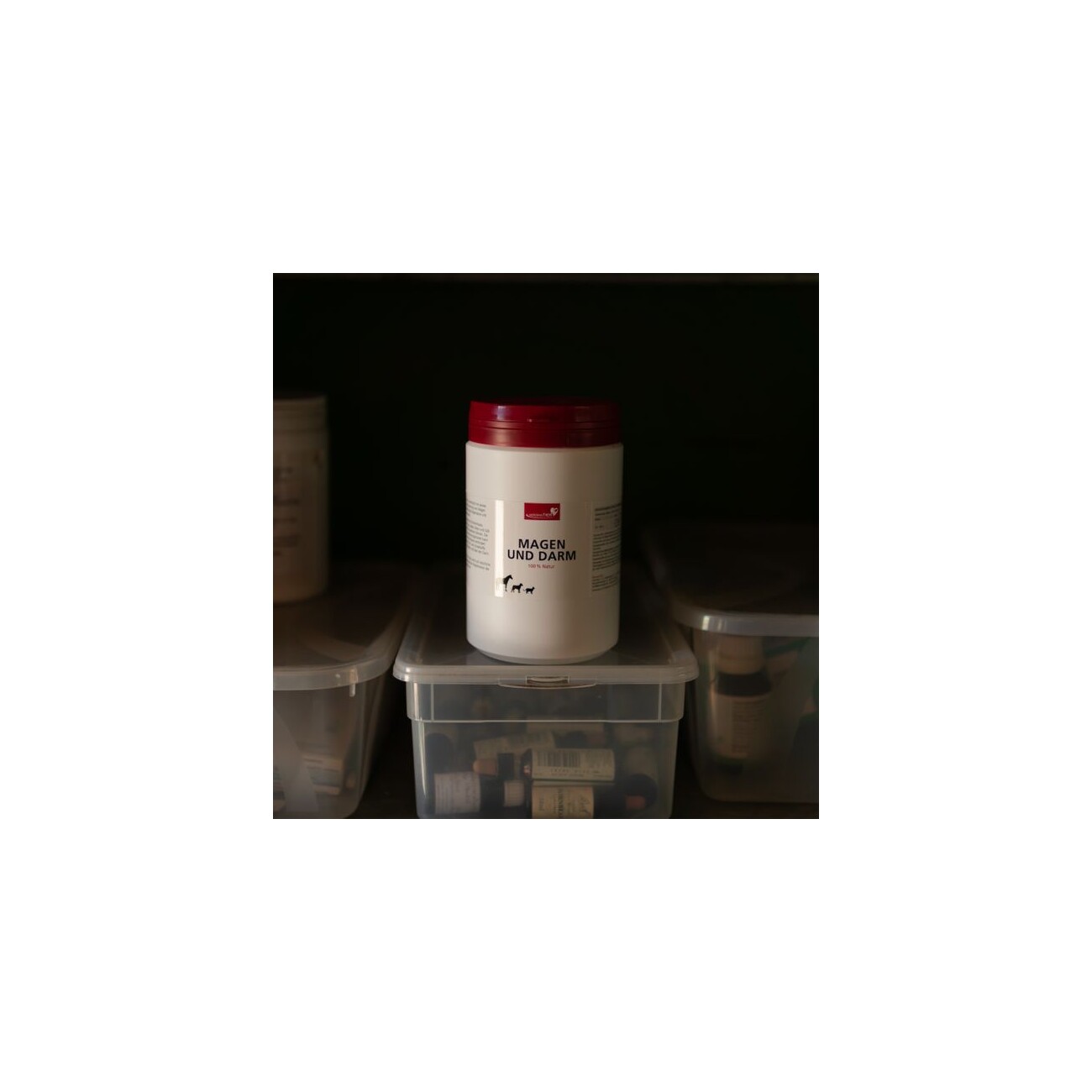 HerzensTier Magen und Darm 200 ml
