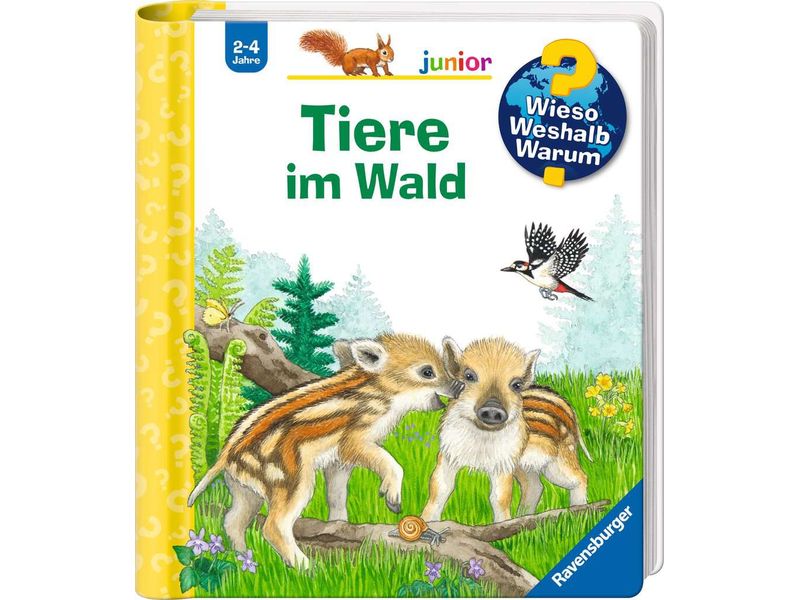 Ravensburger Kinder-Sachbuch WWW junior: Tiere im Wald Klappbuch