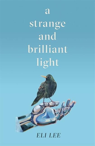 A Strange and Brilliant Light: Winner of the Writers' Guild Best First Novel Award (Paperback)