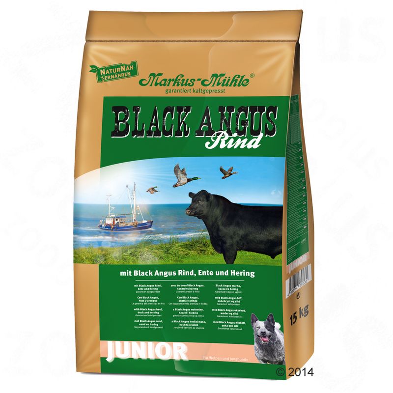 Black Angus Junior